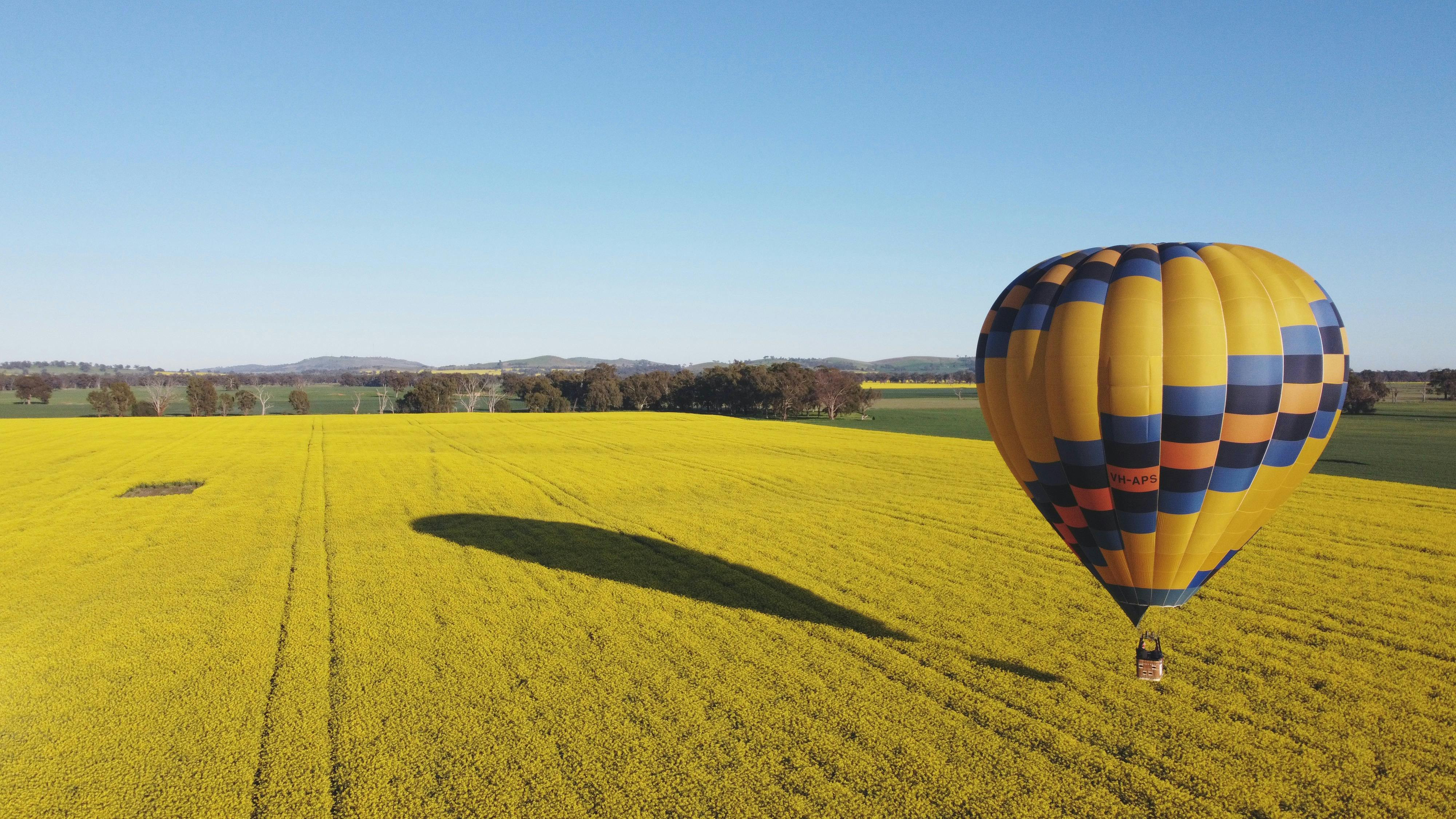 Balloon and shadow low over the canola