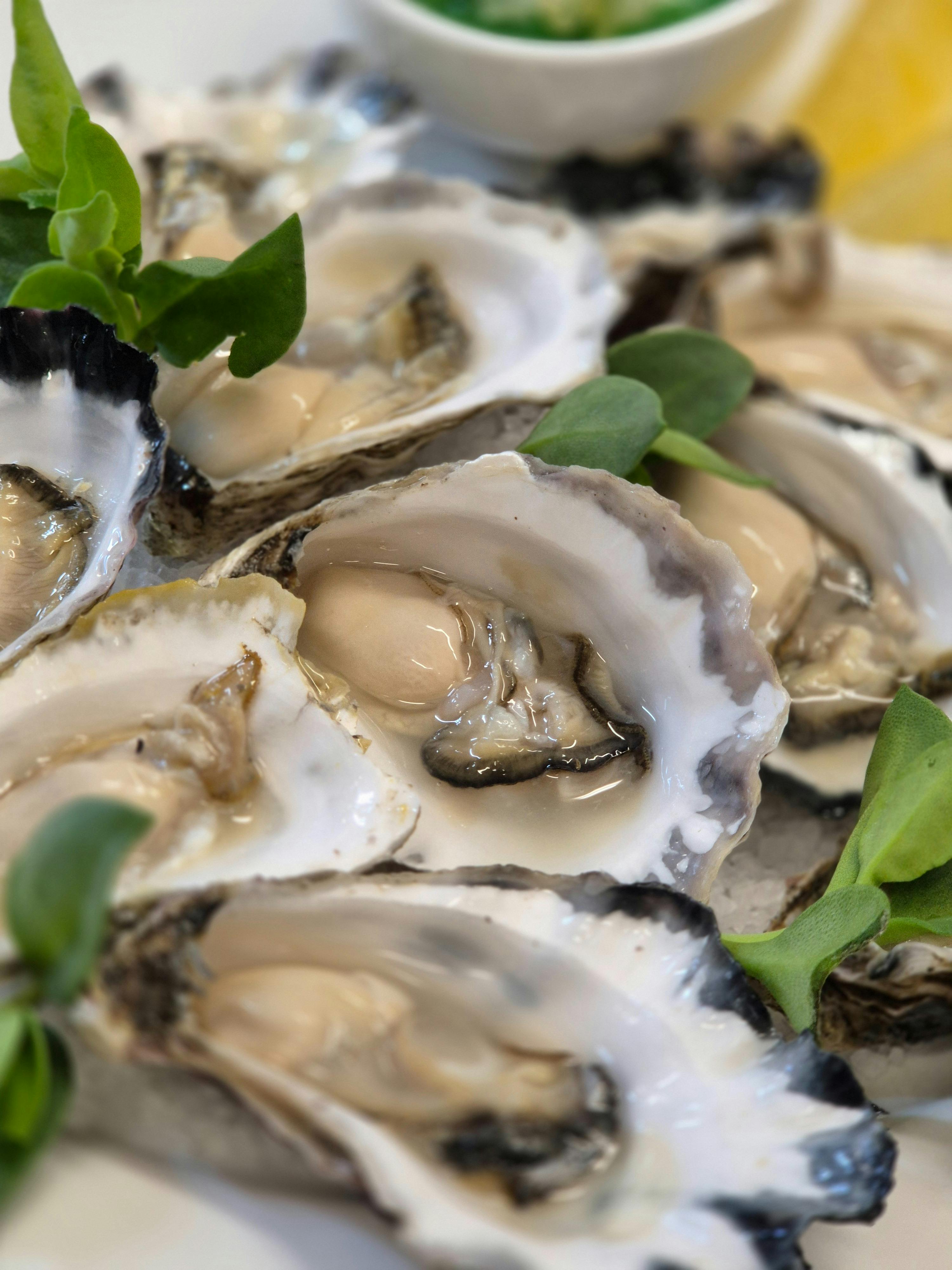 Oysters and Bubbles
