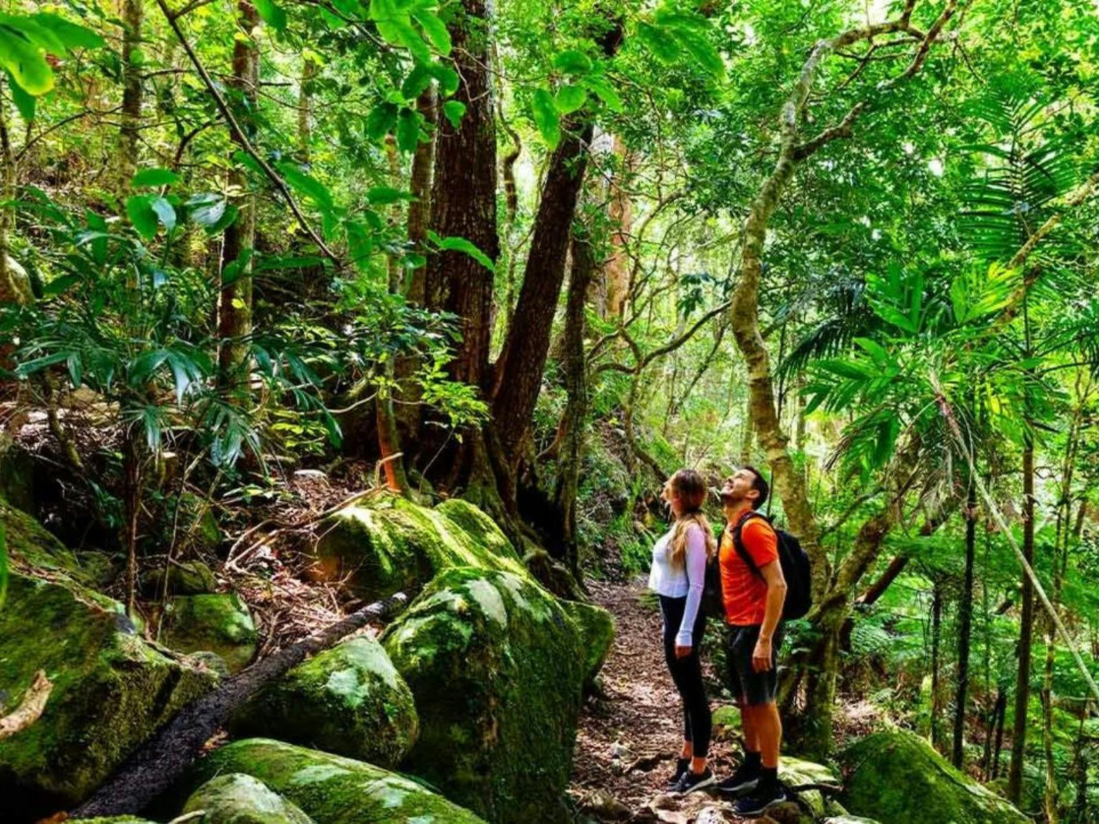 Queensland-Australia-people-exploring-Lamington-NP Queensland-Australia-people-exploring-Lamington-NP