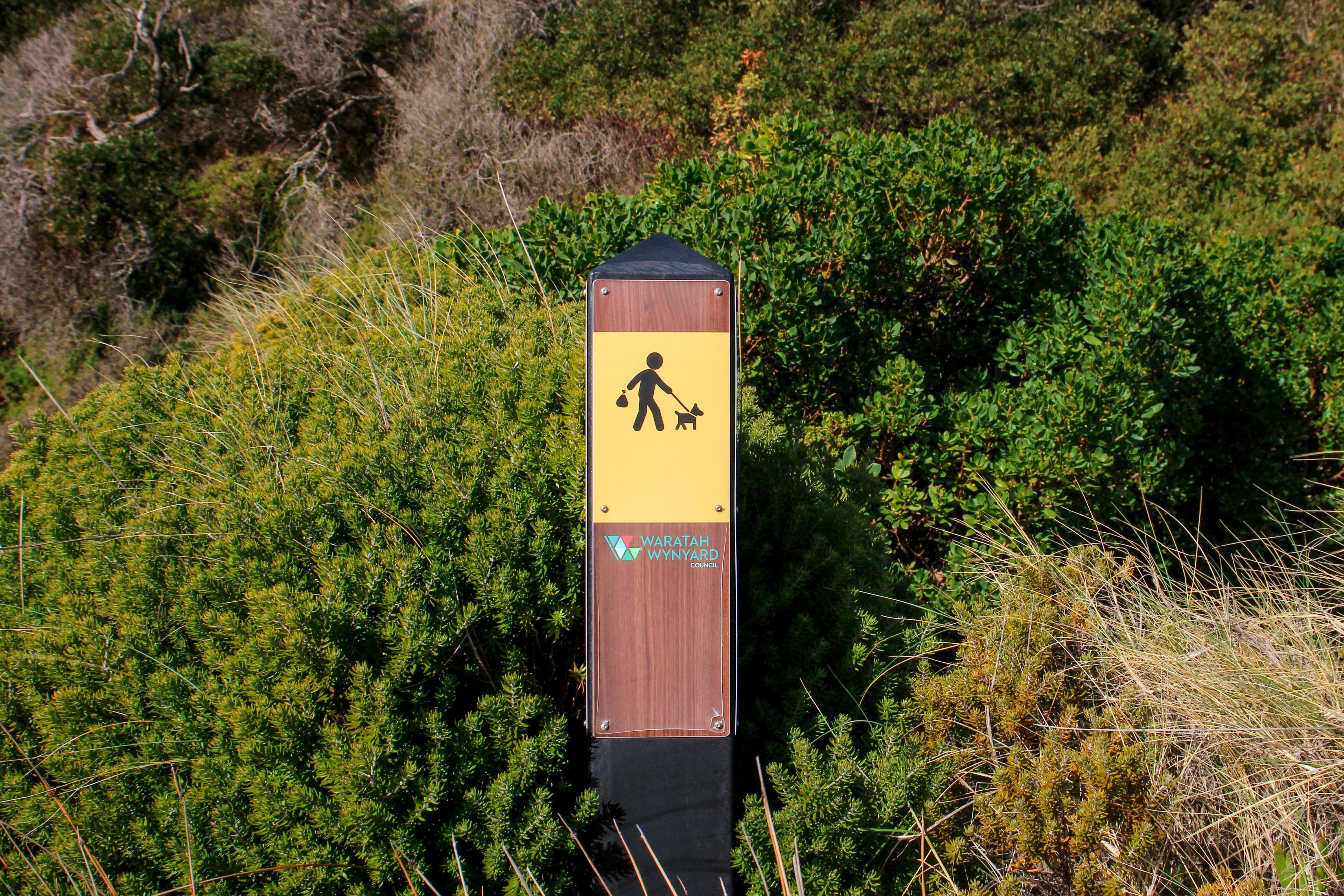 Fossil Bluff, Wynyard