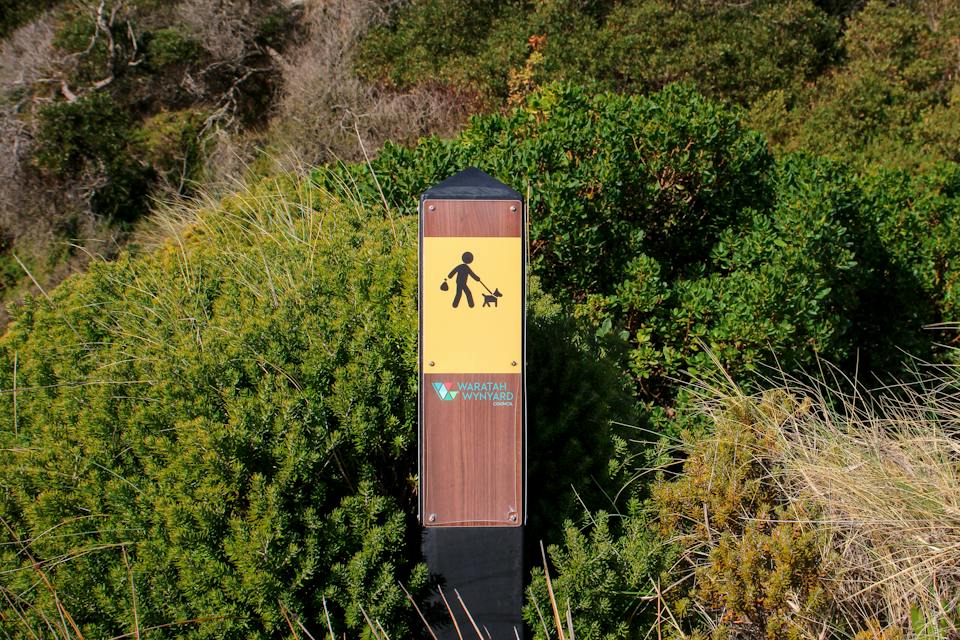Fossil Bluff, Wynyard photo