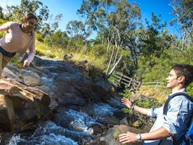 Yackandandah Gorge Scenic Walk