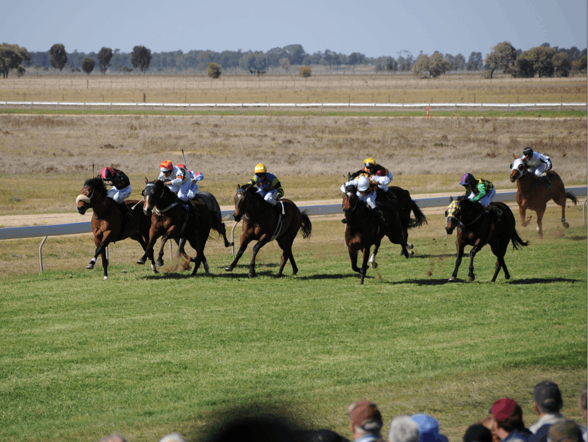 Jerilderie Gold Cup Races NSW Holidays & Things to Do