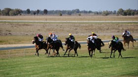 Jerilderie Gold Cup Races