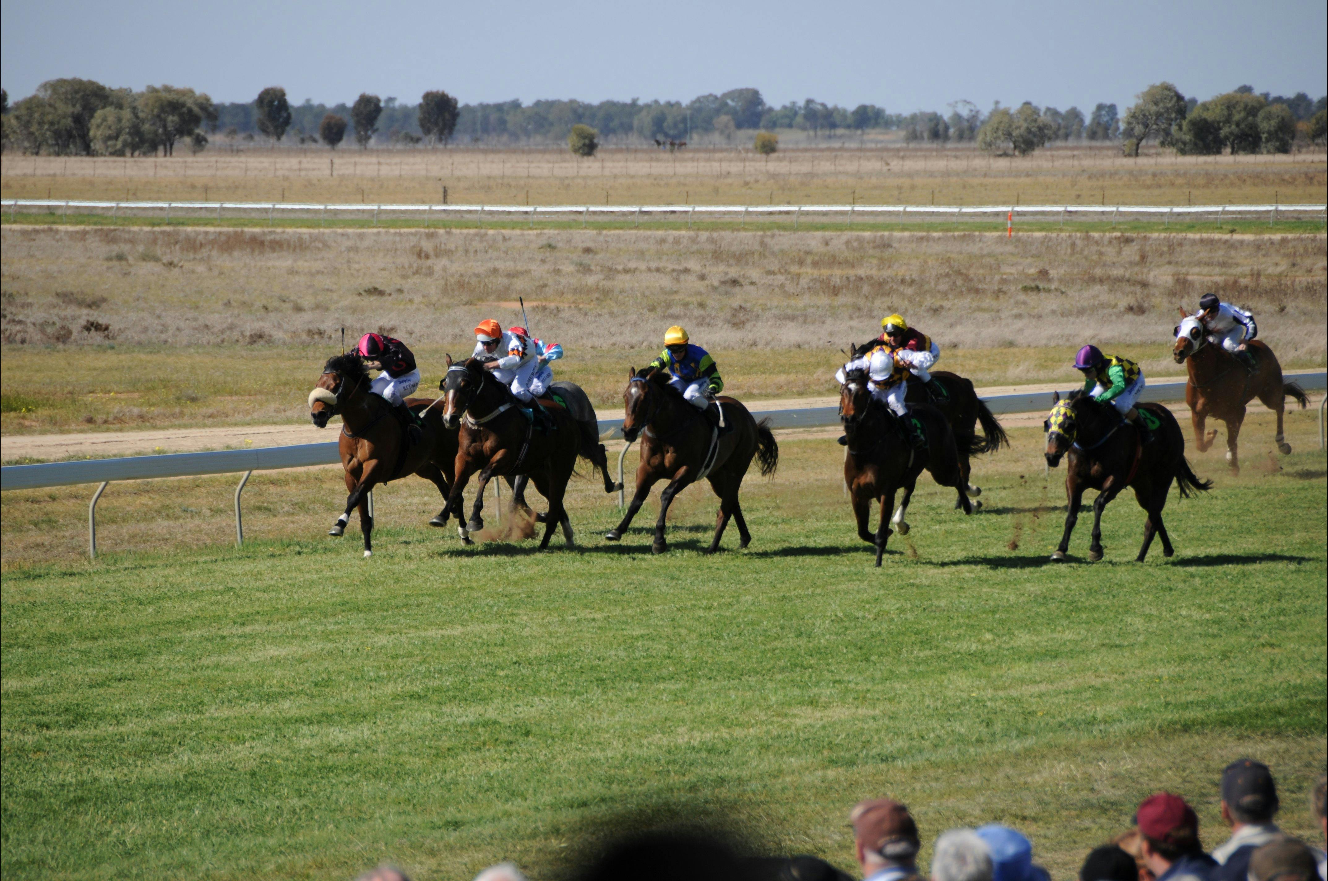 Jerilderie Gold Cup Races Sydney, Australia Official Travel