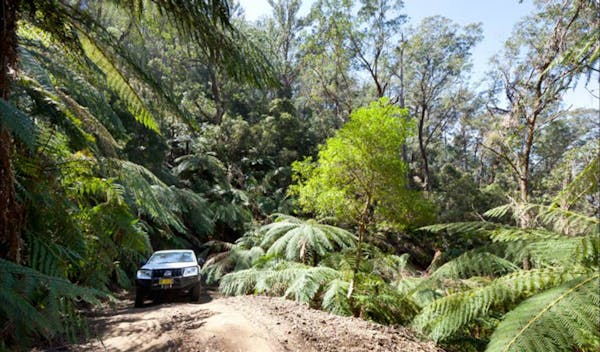 Wadbilliga Road drive