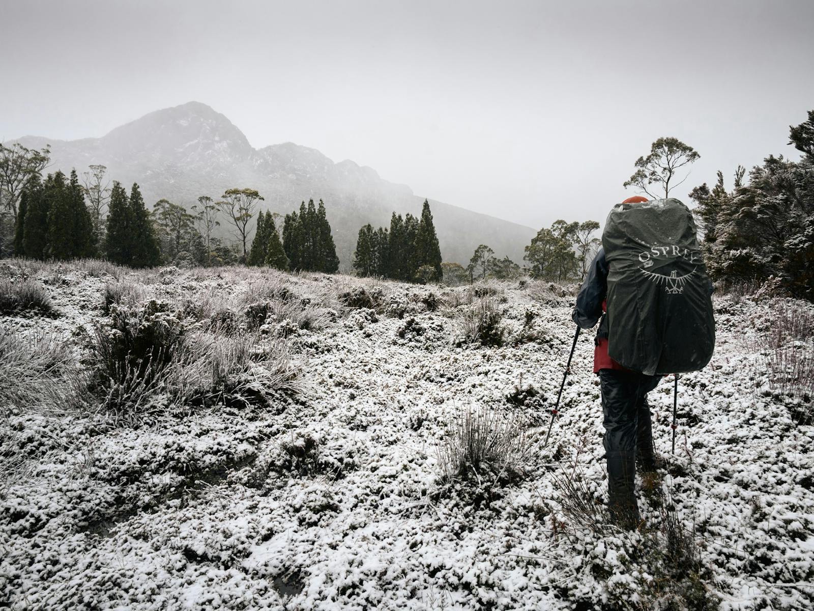 Guided winter walks on the Overland Track