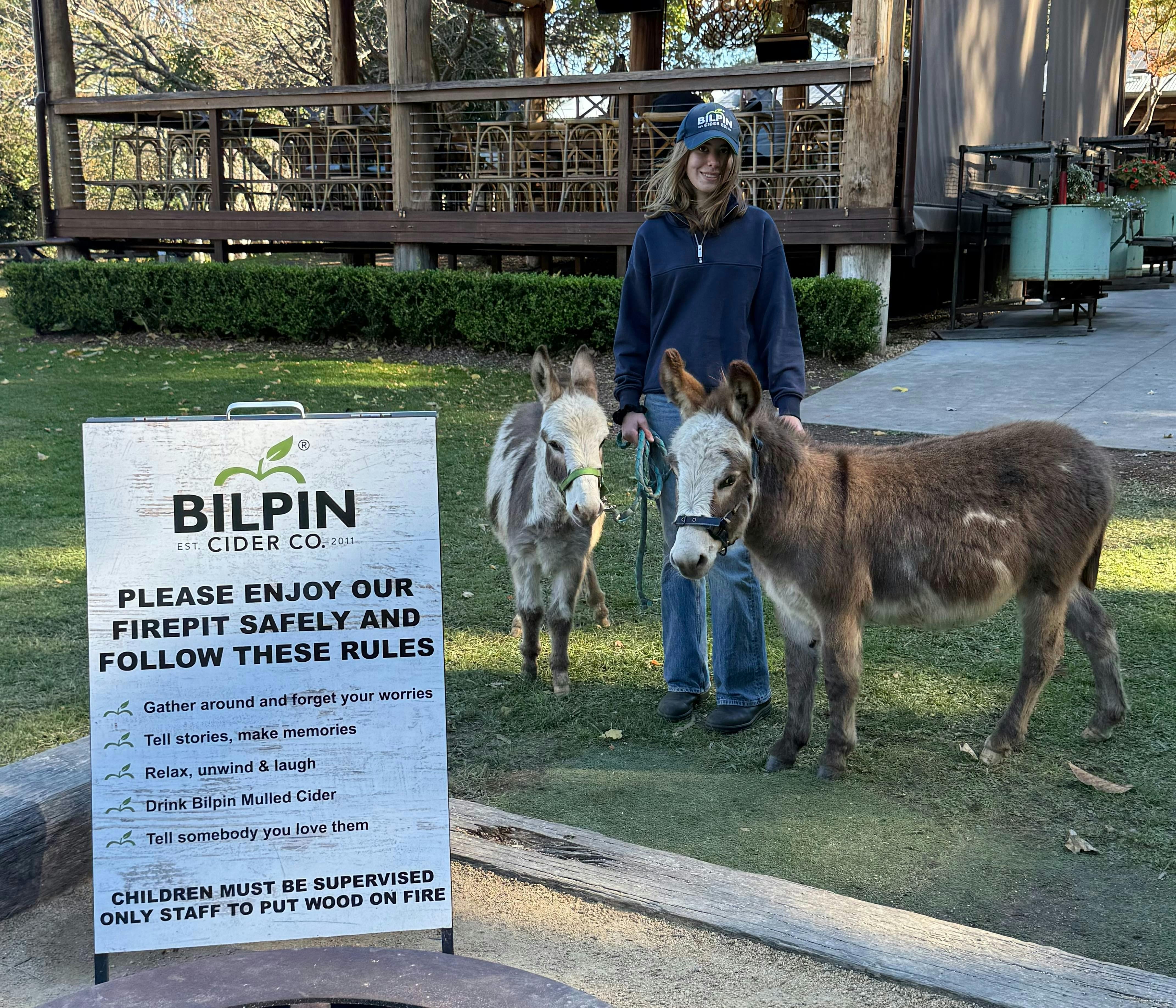 Bruno & Teddy out for a walk