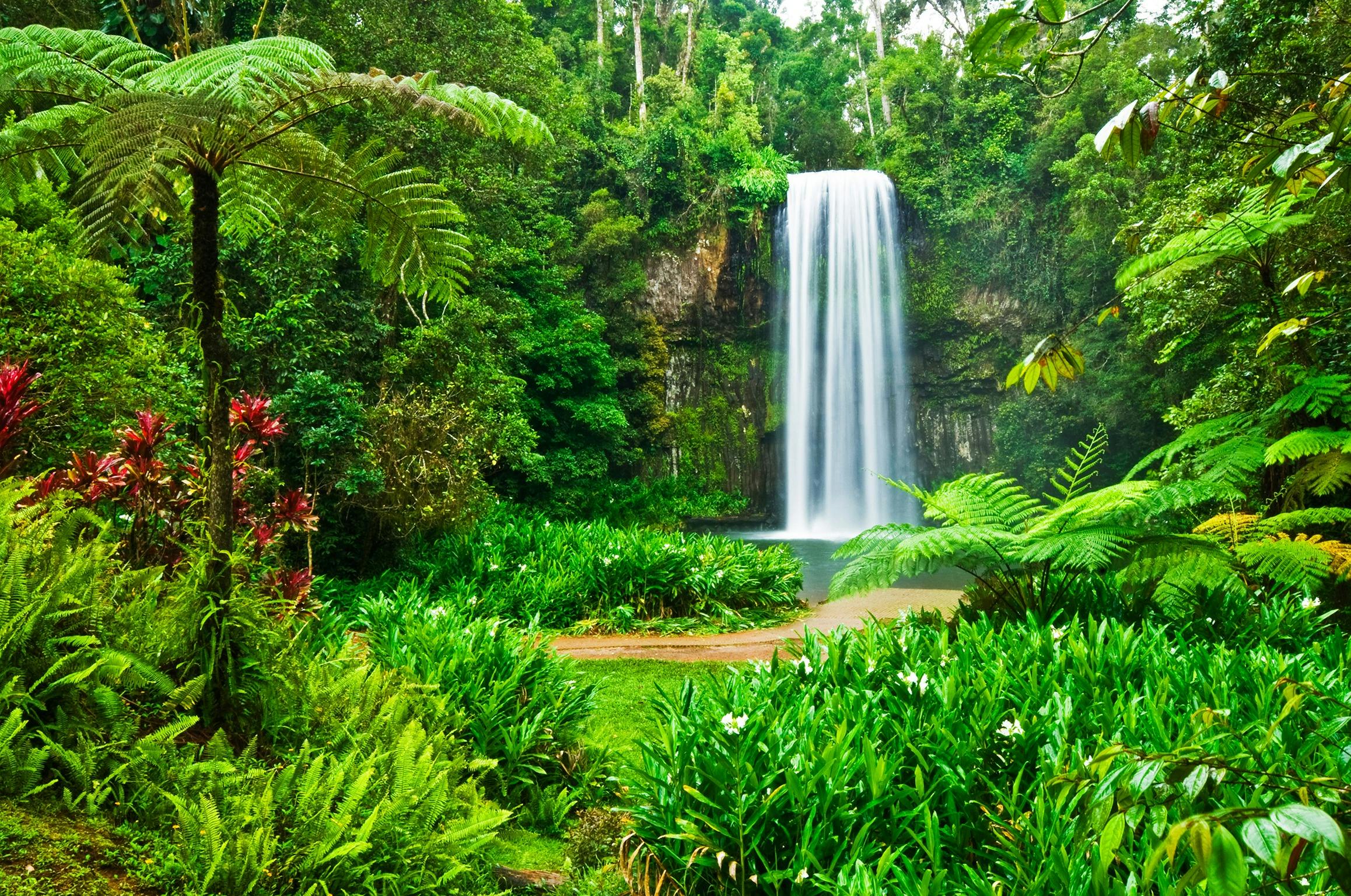 Millaa Millaa Falls