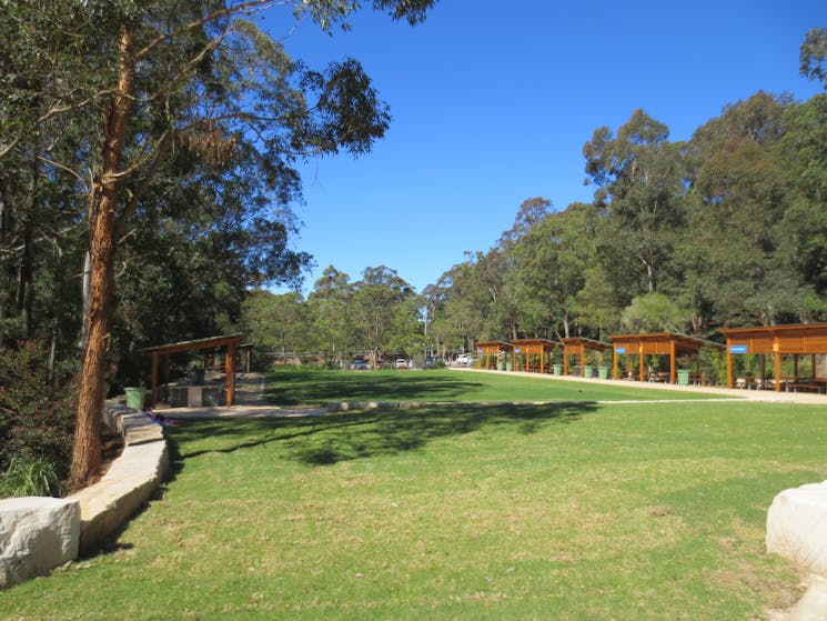 Carnley Ave - picnic area