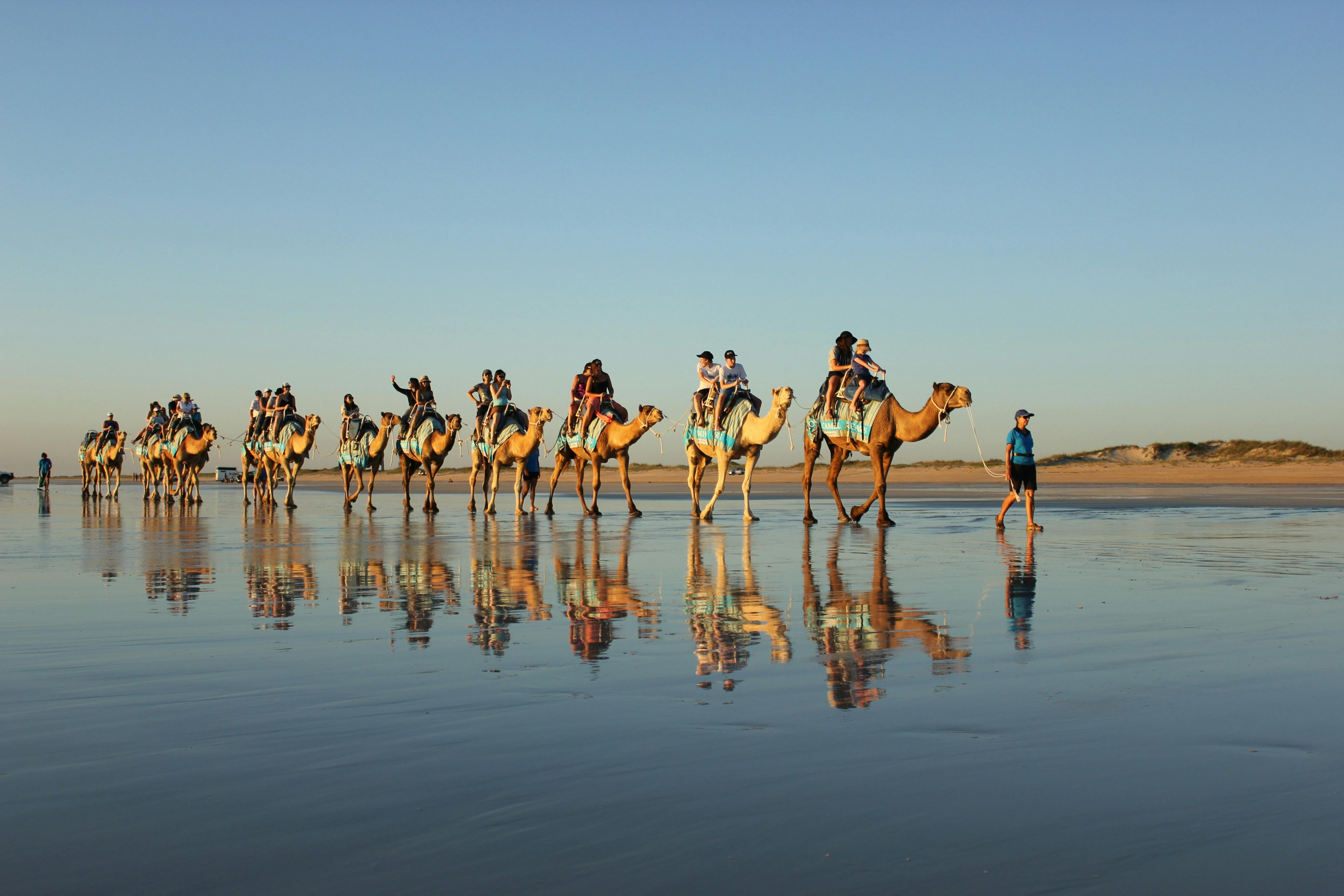 Broome Camel Safaris, Broome, Western Australia