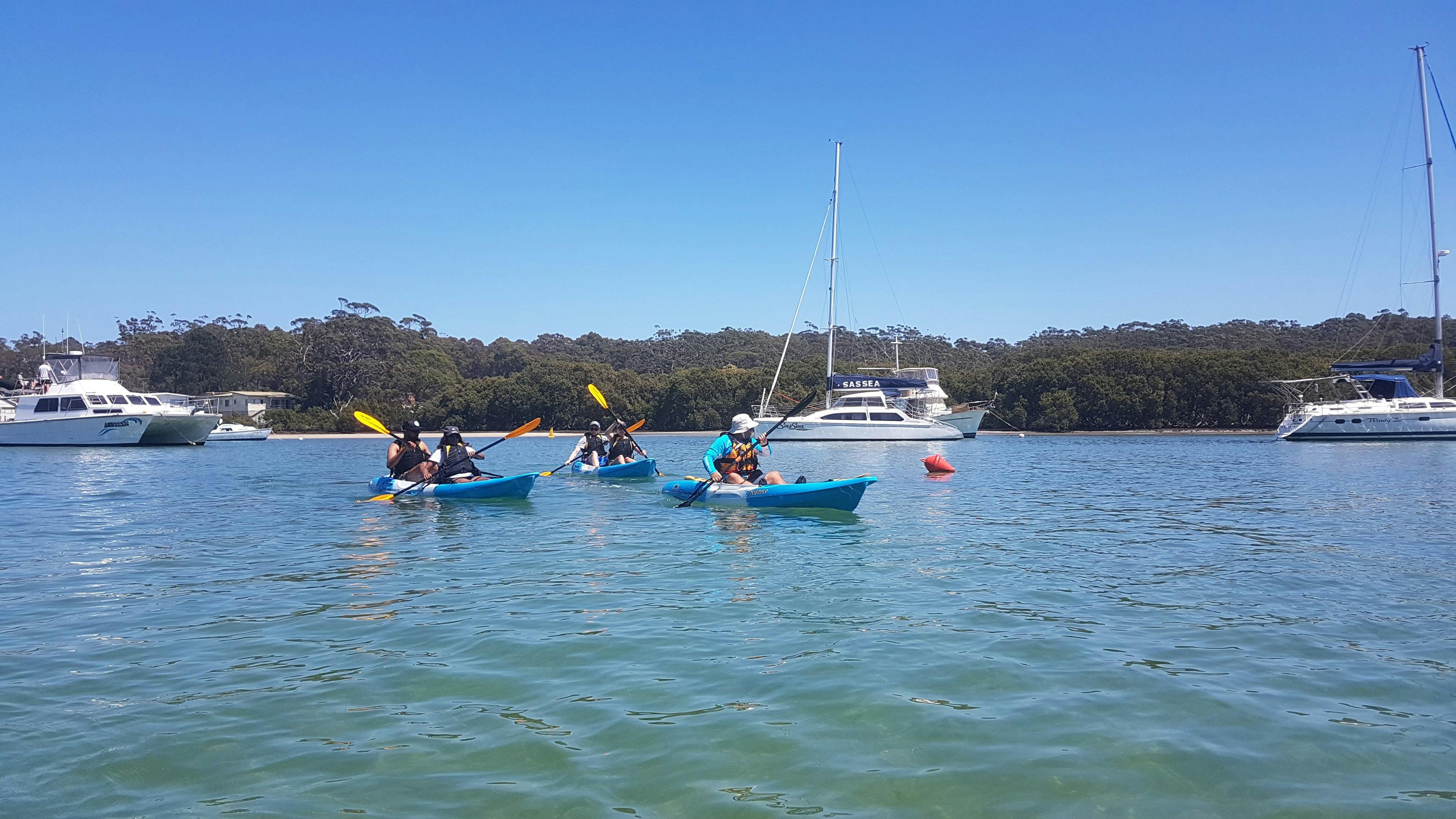 Sit On Top Kayak Tours NSW Holidays & Things to Do