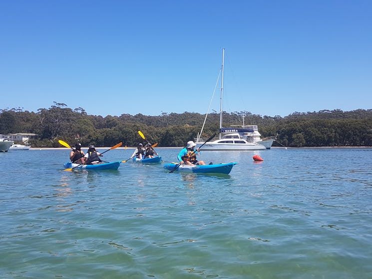 Enjoy a kayak or stand up paddle board tour in Huskisson, Jervis Bay