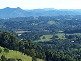 North Coast Tours