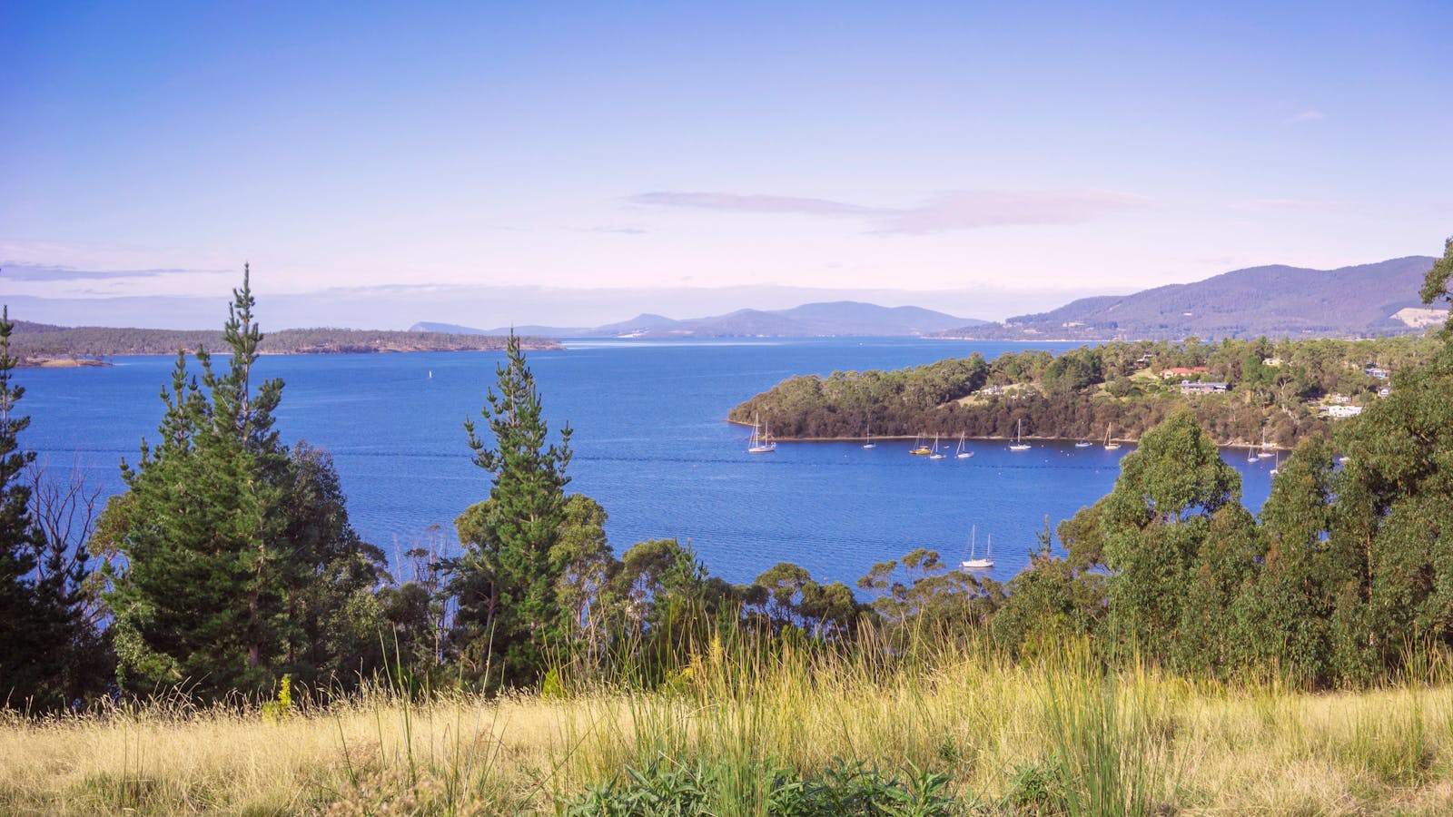 View from the front door