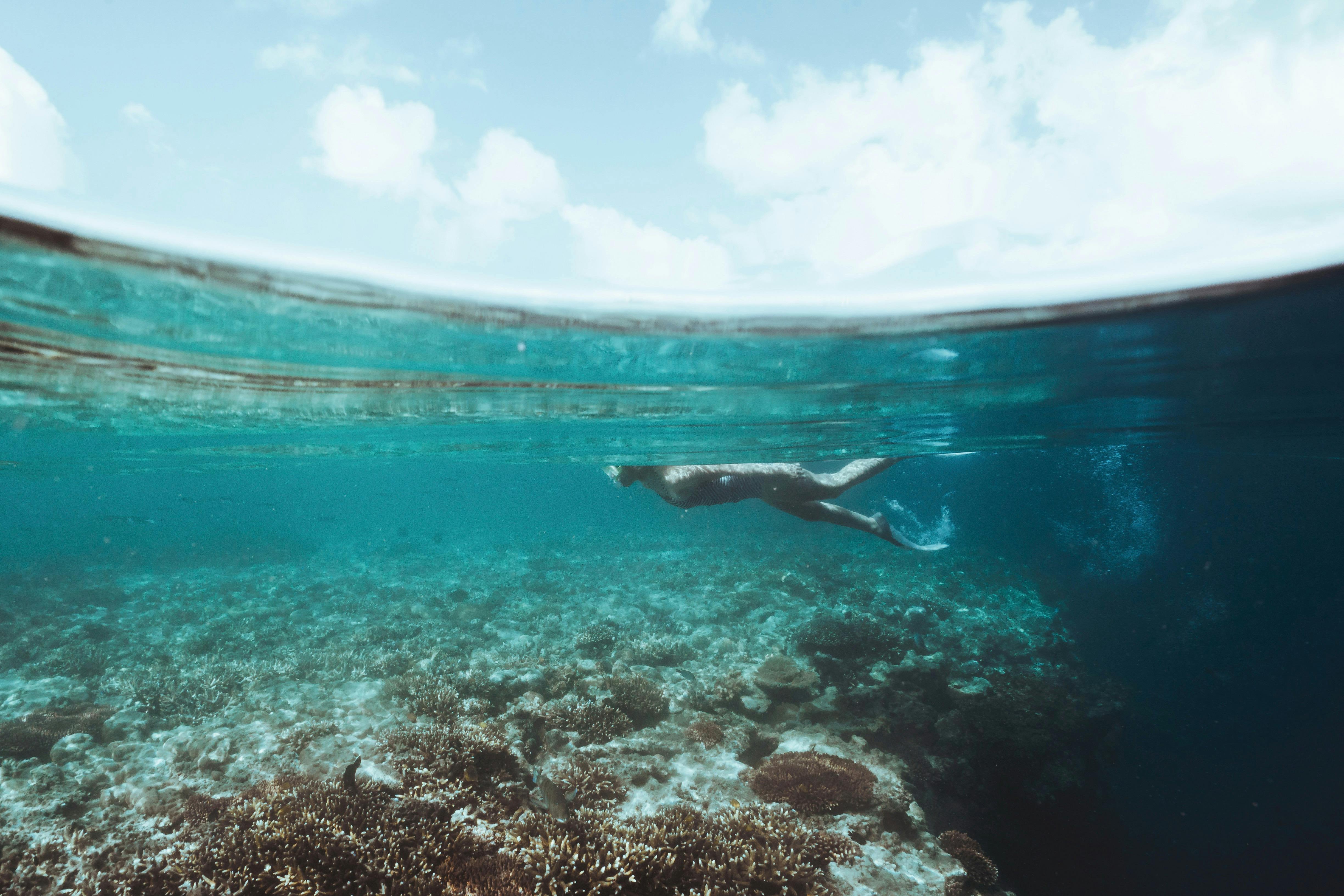Hardy Reef