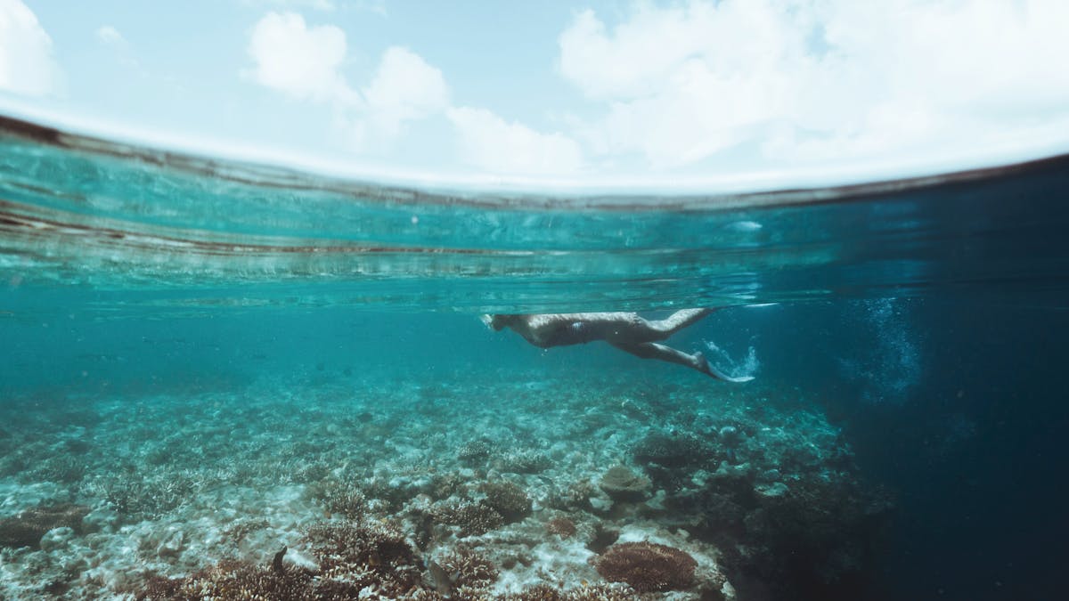 Solo snorkeller exploring underwater at ReefWorld Hardy Reef