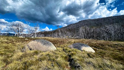A collection of rocks in flat grassland with a mountain in the distance.