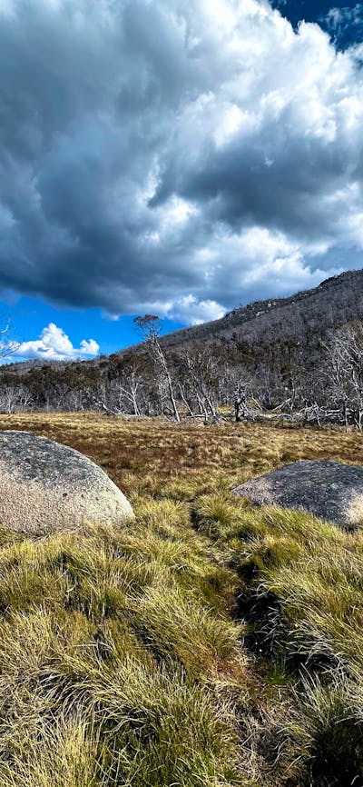 A collection of rocks in flat grassland with a mountain in the distance.