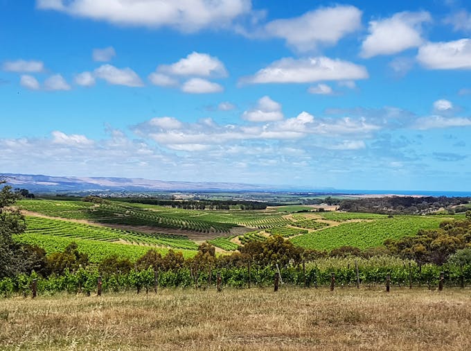 Discover McLaren Vale - Wine Sustainability