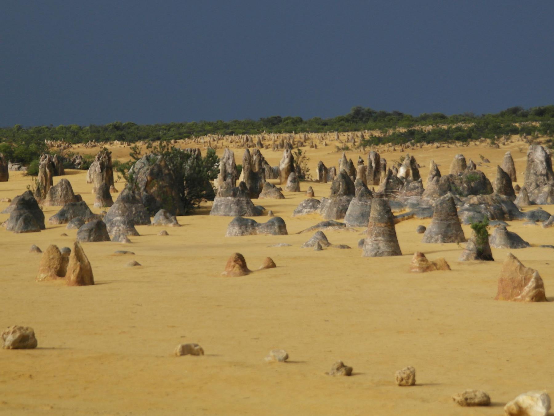 Otto Tours, Gosnells, Western Australia