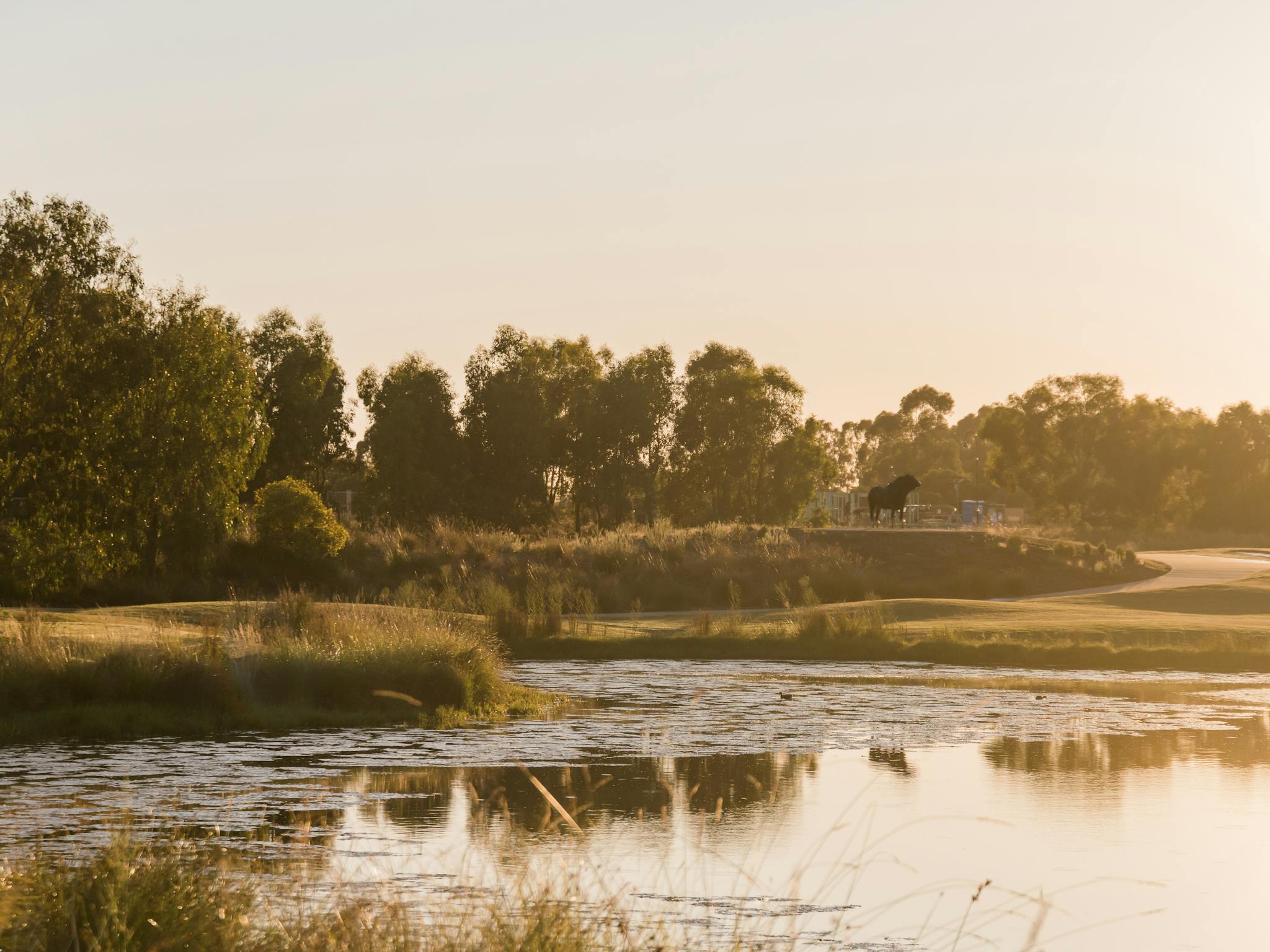 Black Bull Golf Course