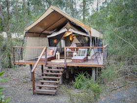Deluxe safari tents amongst the gum trees with wrap around timber decking