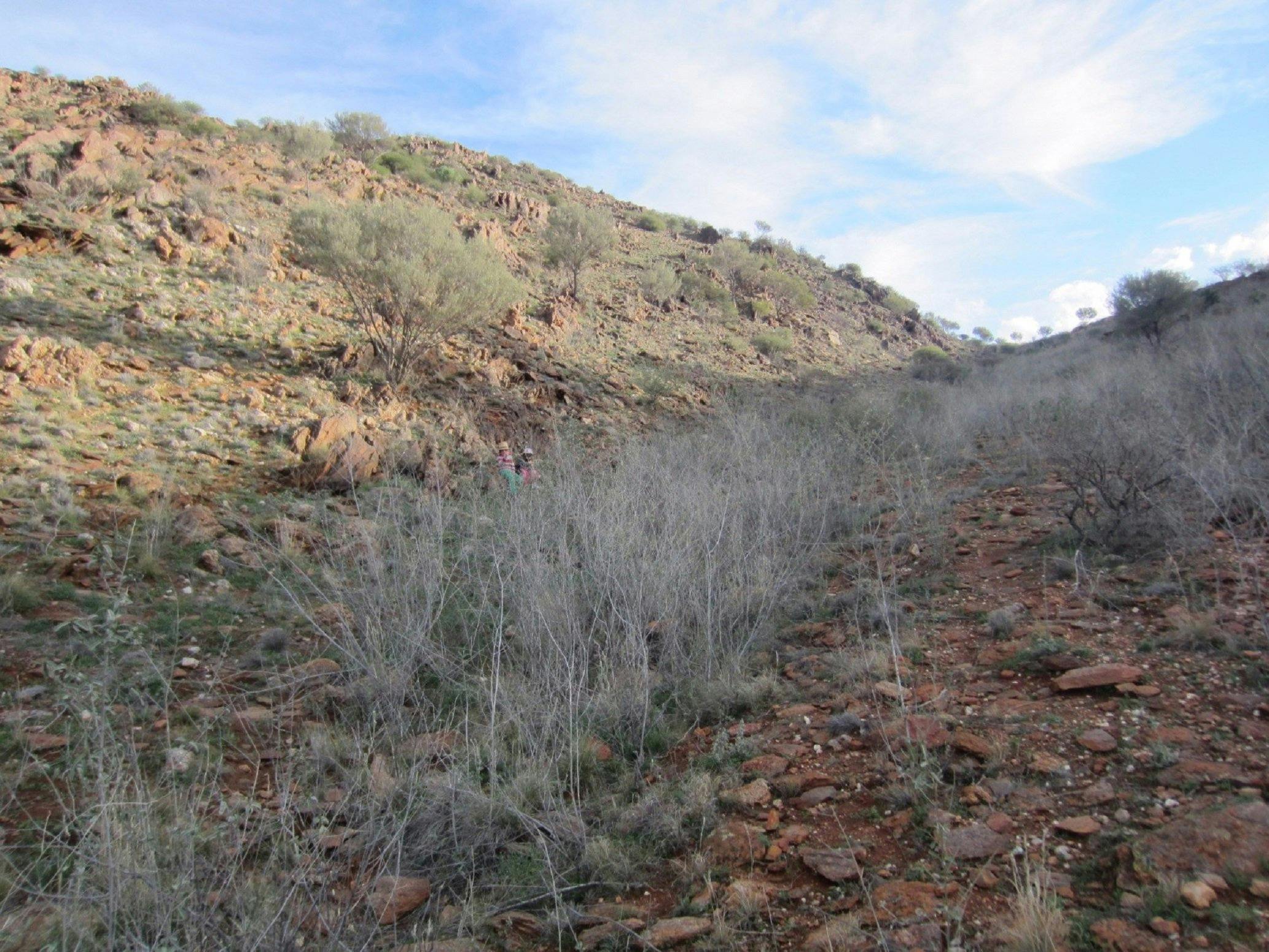 Sundown Nature Trail