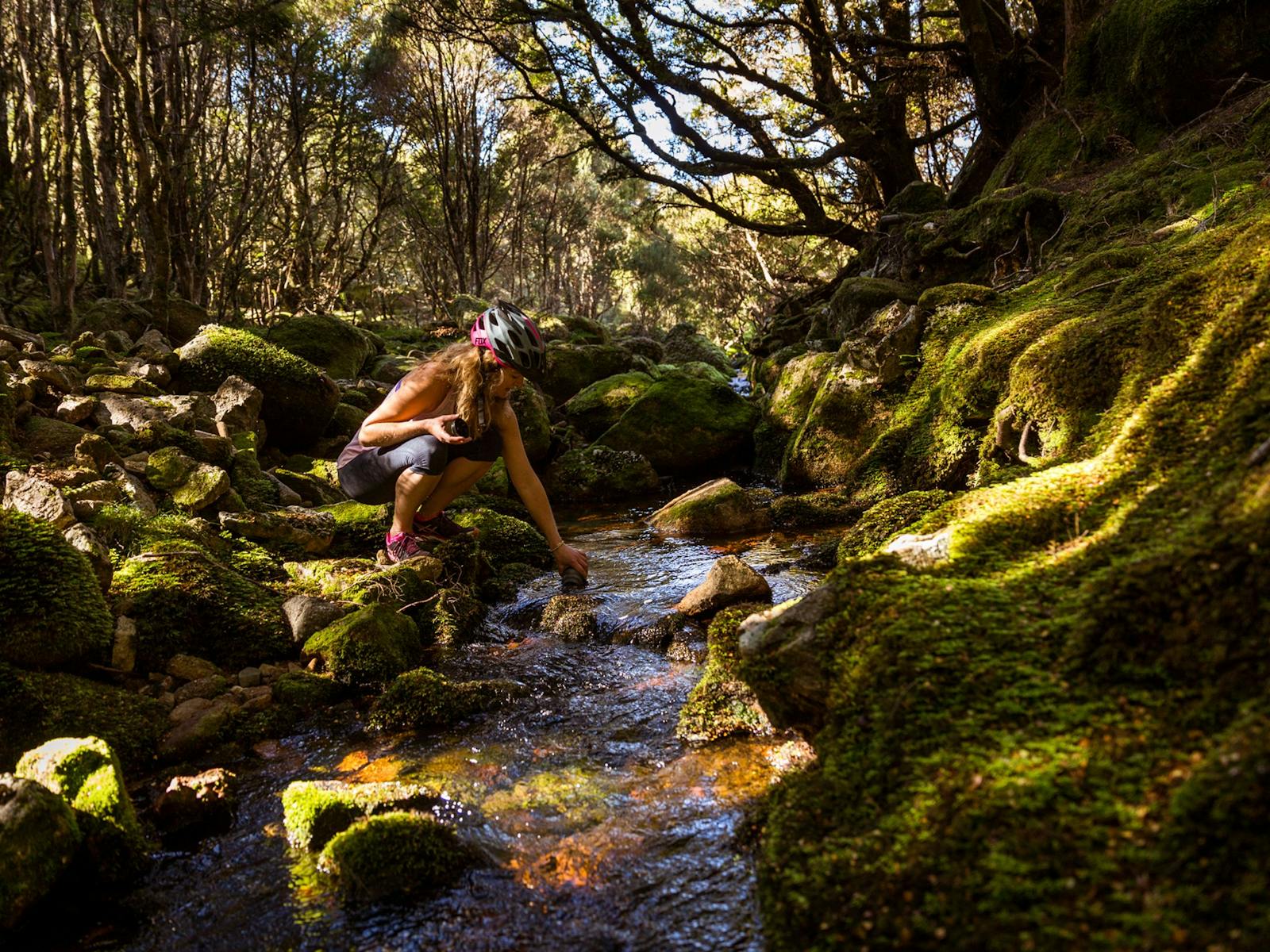 A quick stop for some pristine Tasmanian water