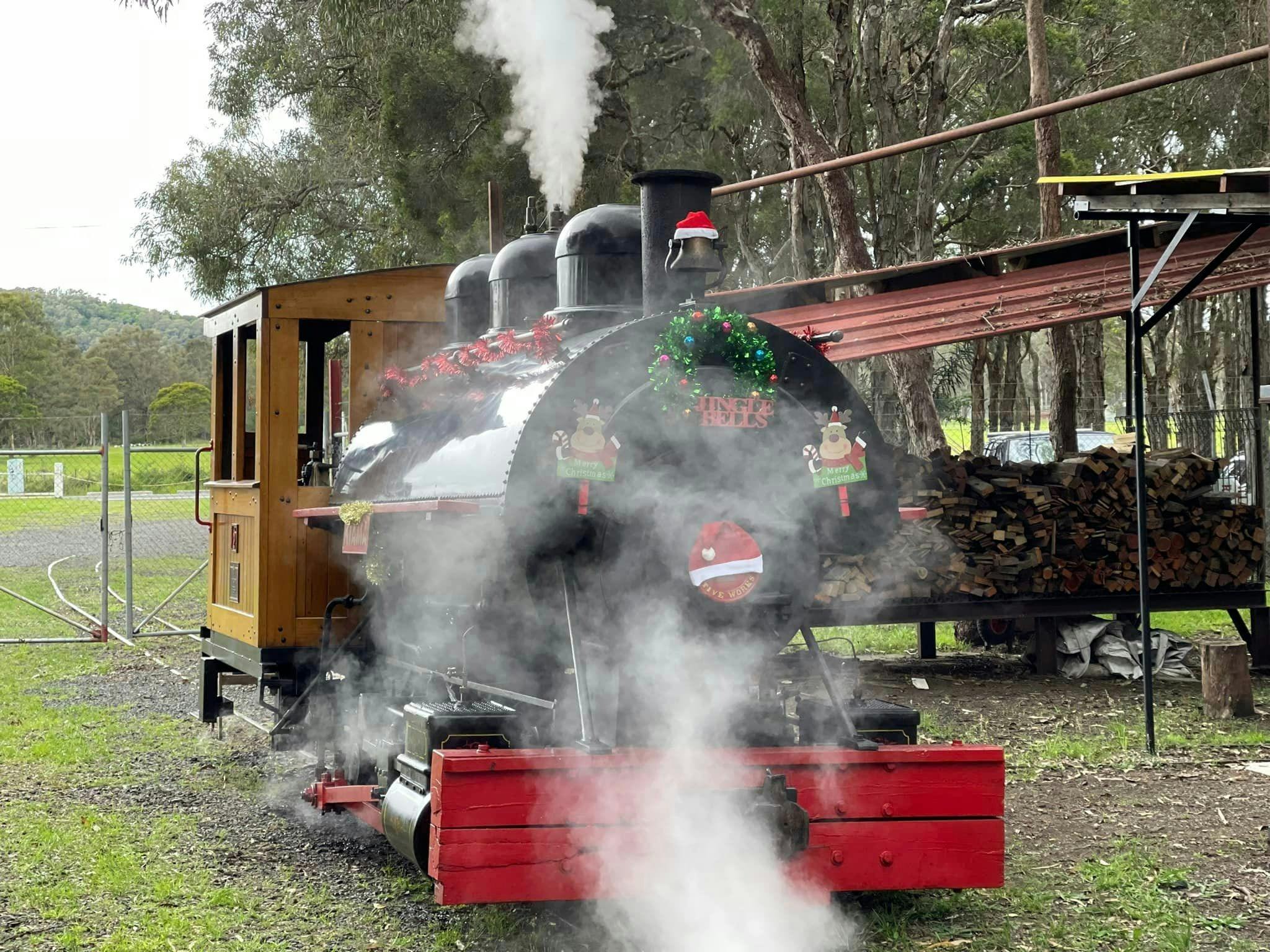 The Christmas Train | Steam Train Rides Family Fun Day