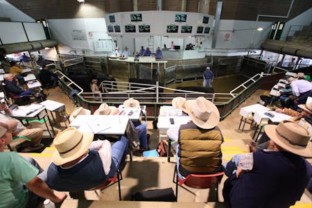 Wagga Wagga Livestock Marketing Centre