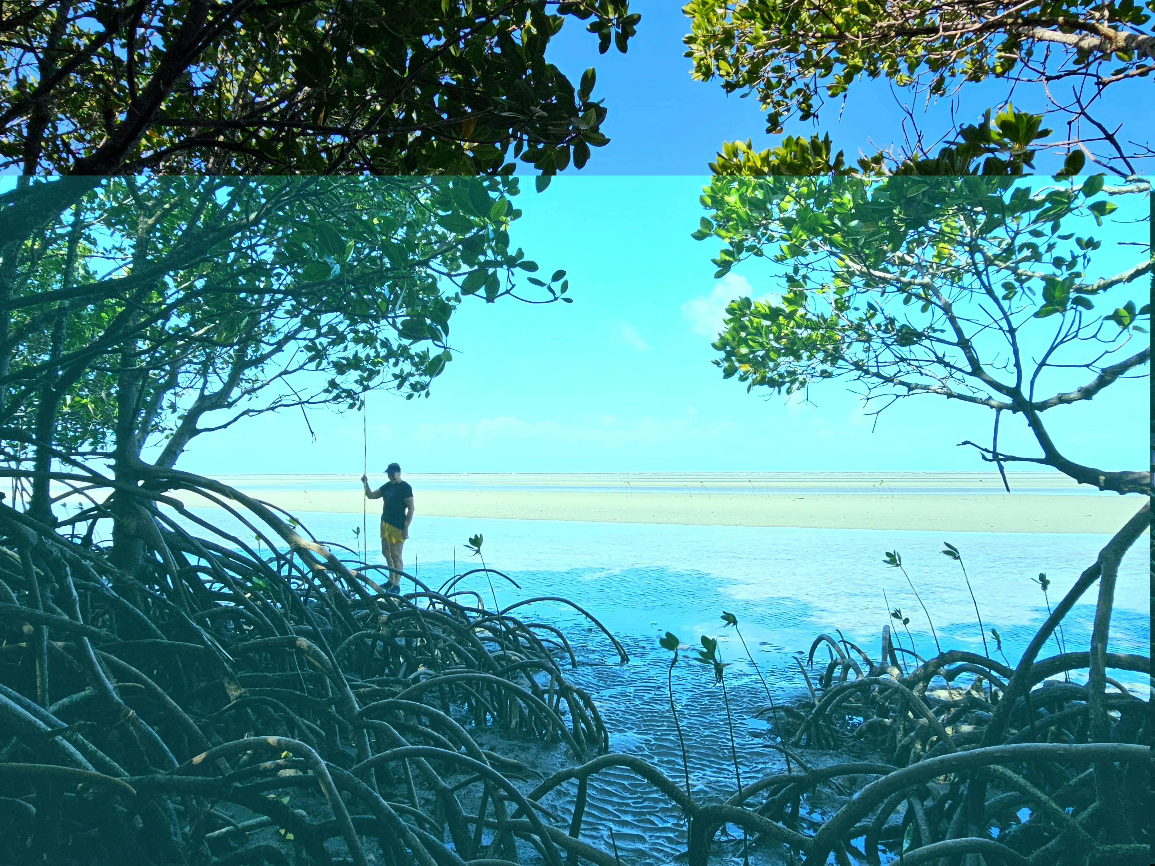 Aboriginal Beach Day Tour