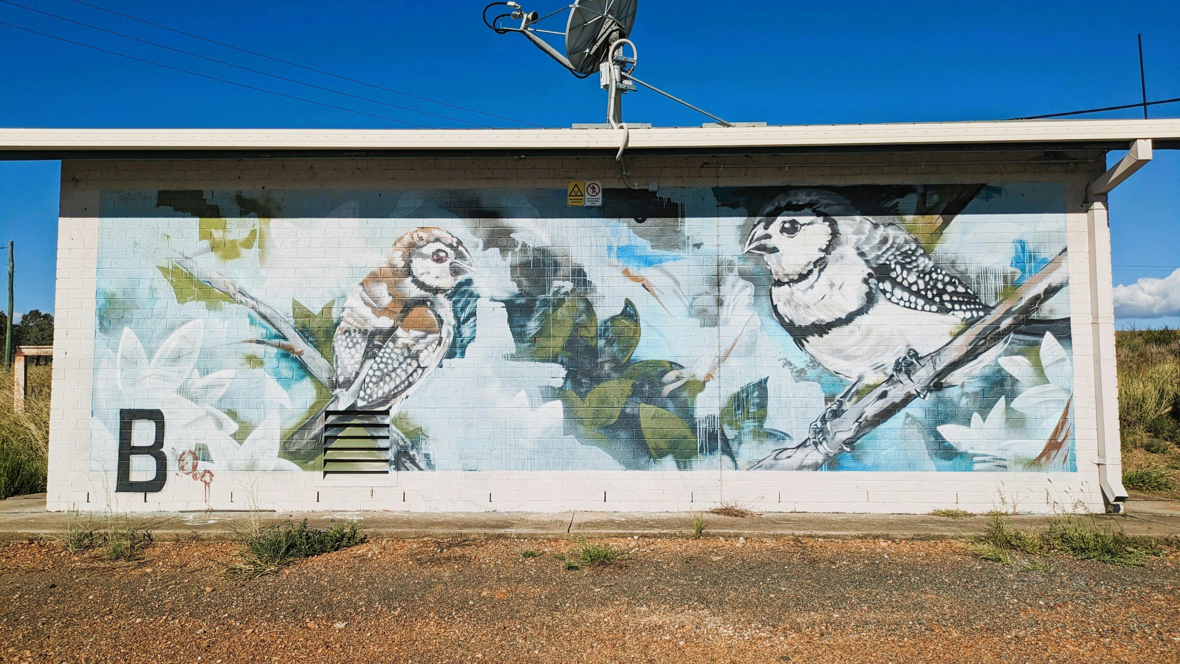 Dartbrook Signal Station Mural with birds