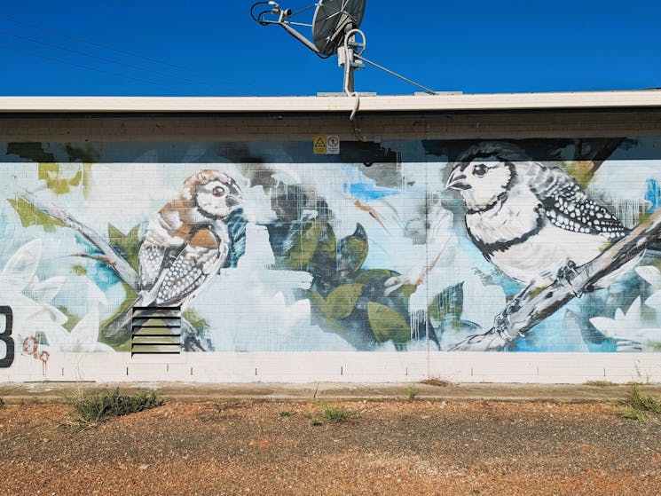 Dartbrook Signal Station Mural with birds
