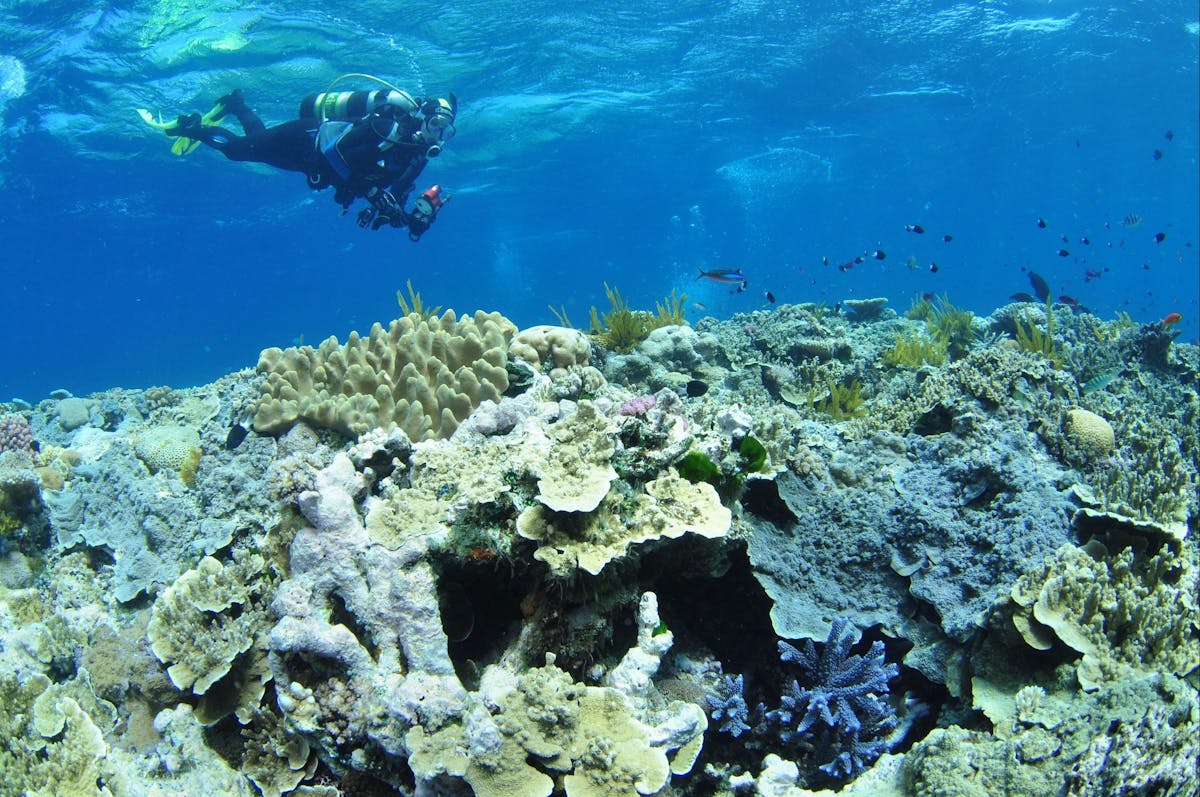 Southern Small Detached Reef