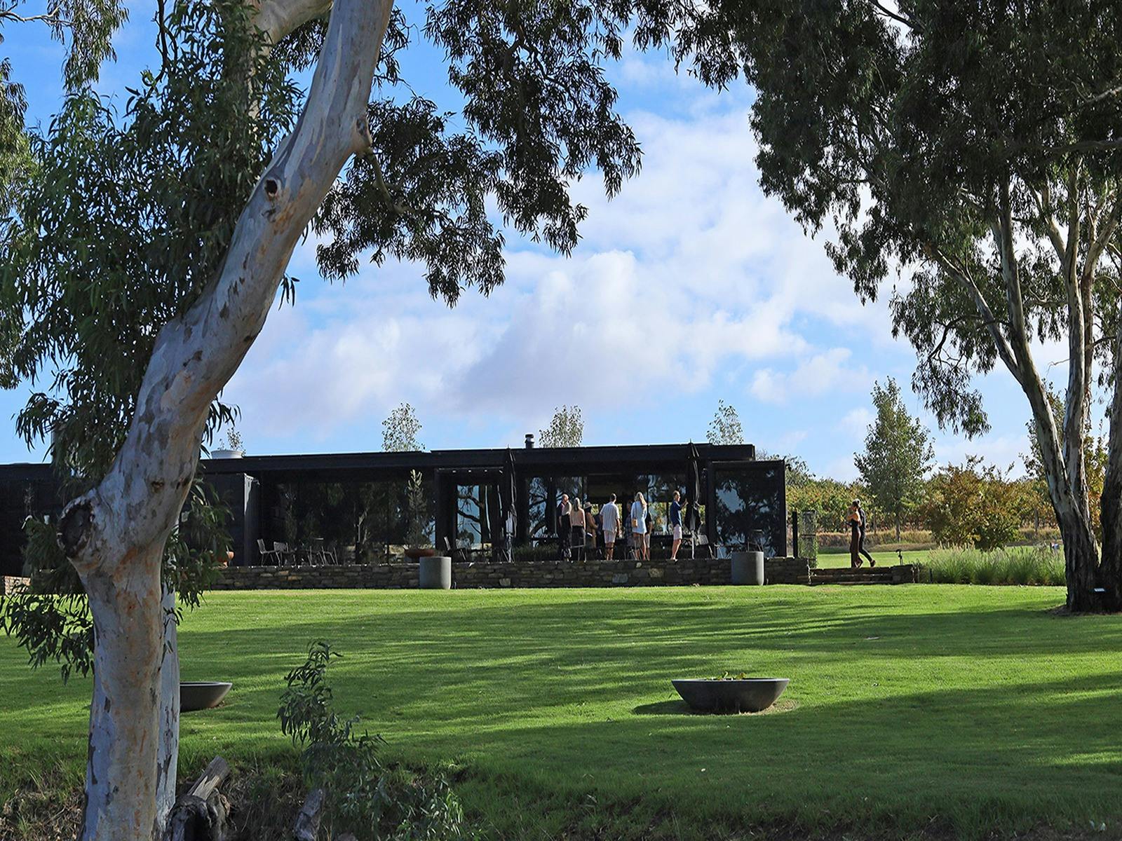 Mitolo Wines cellar door, Little Wolf and Frankie