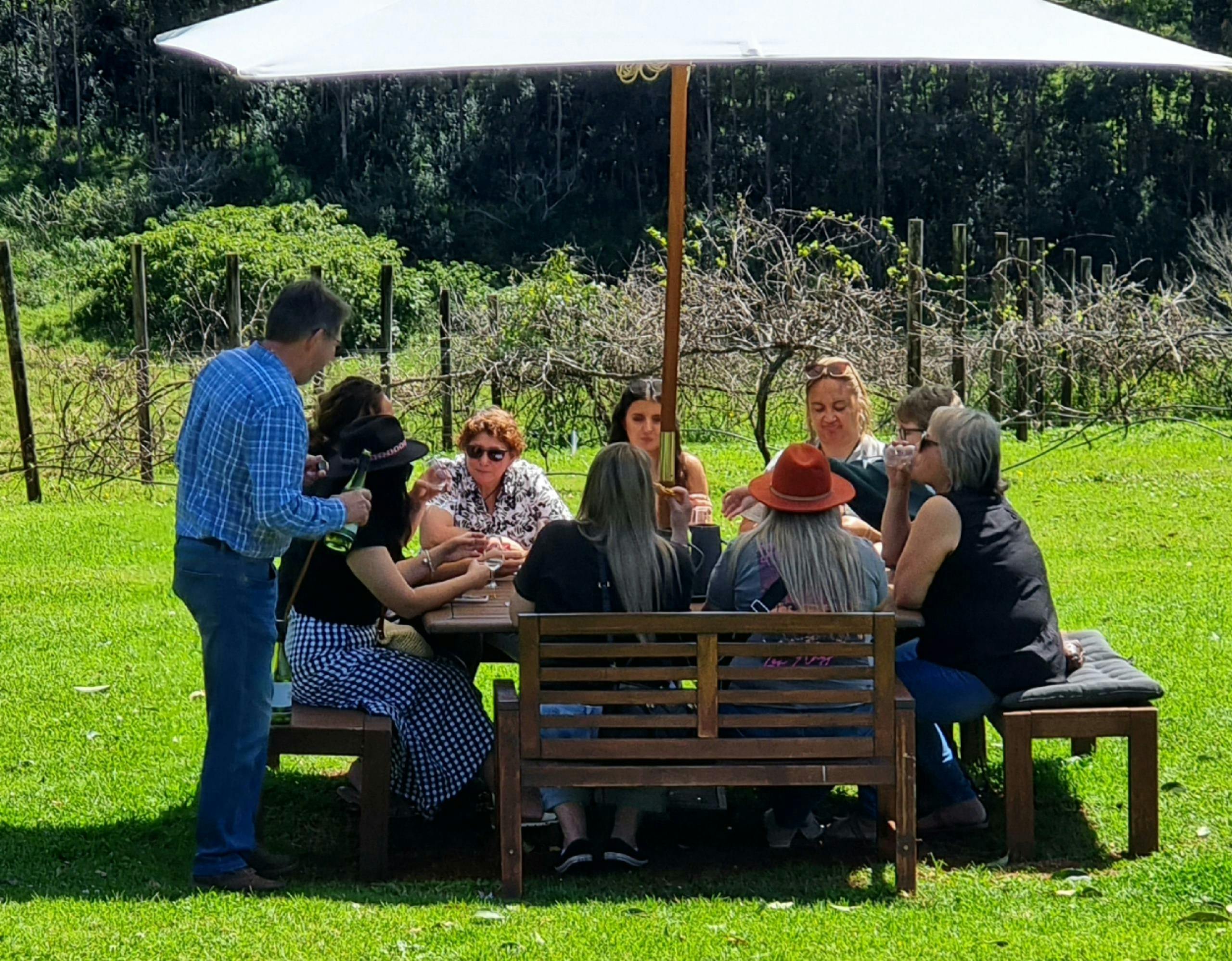 Mason Wines