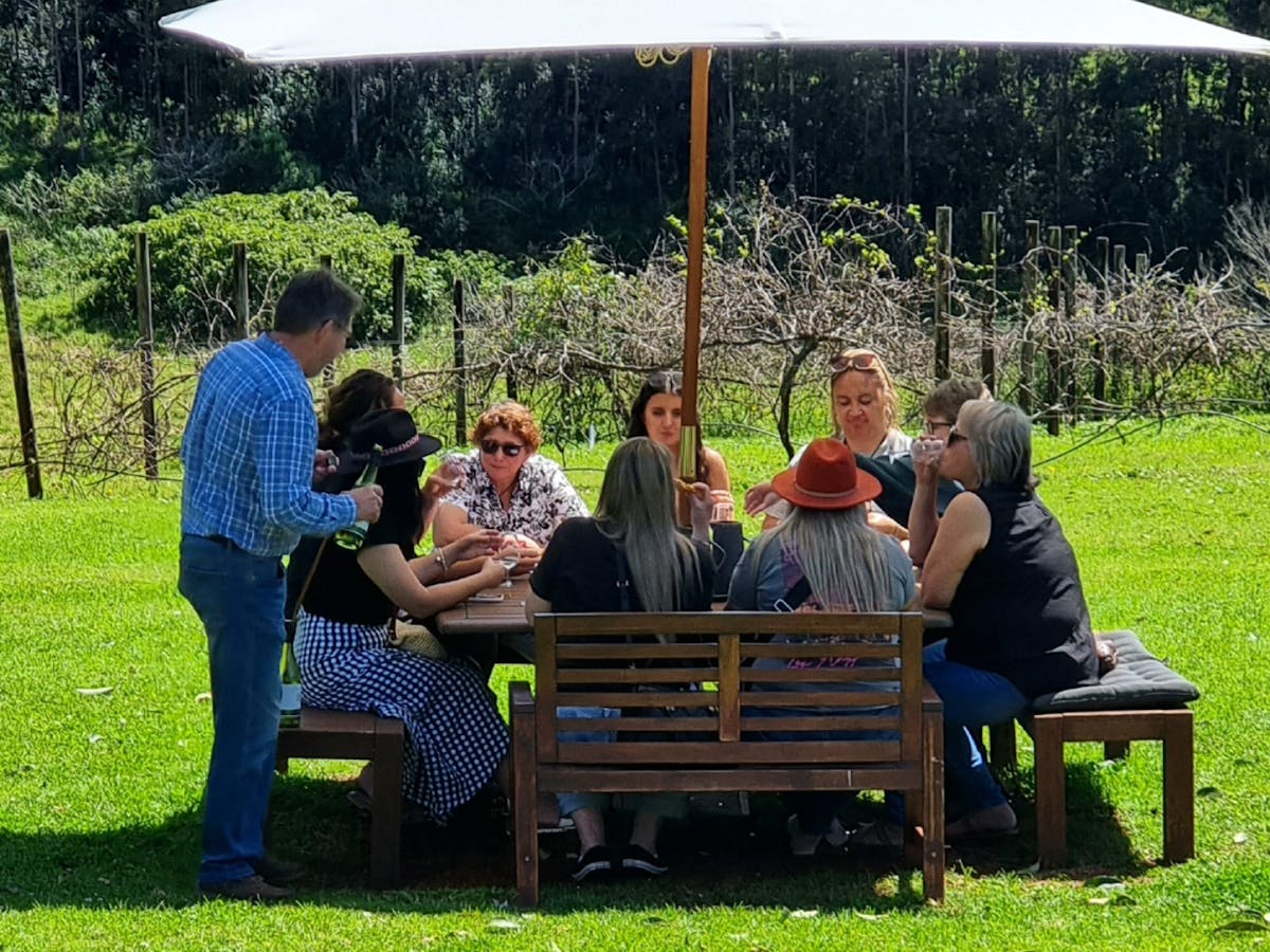 Mason Wines