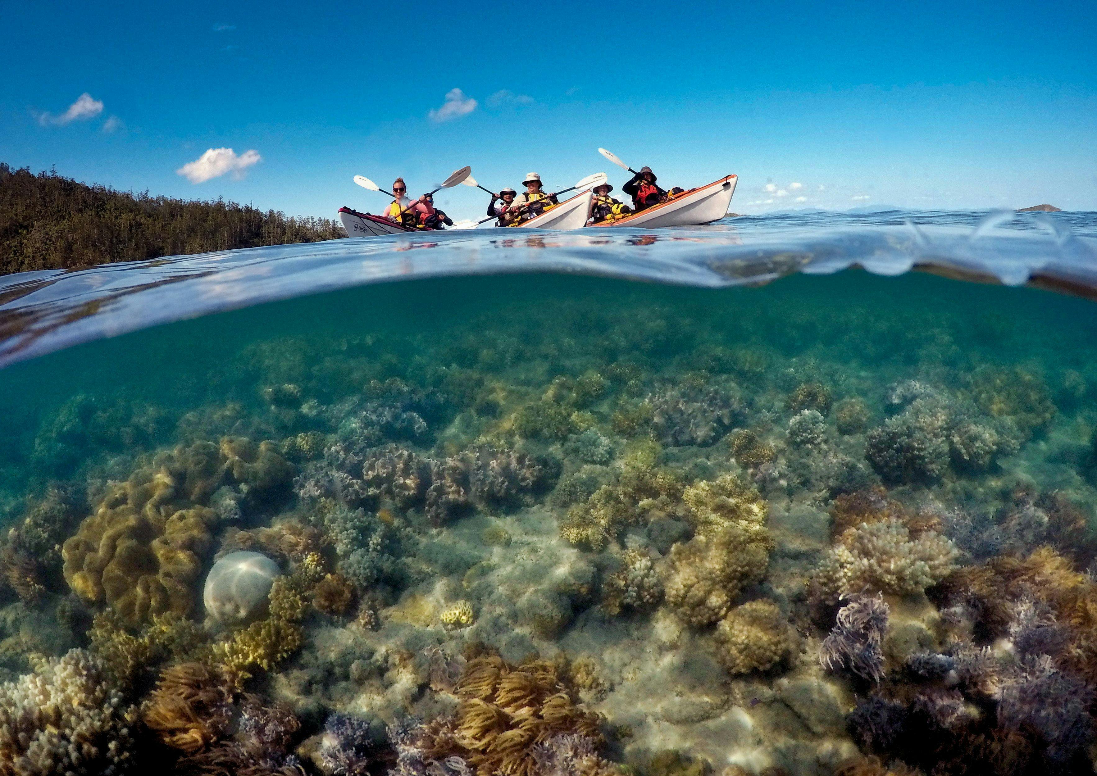 6 Day Sea Kayak Expedition