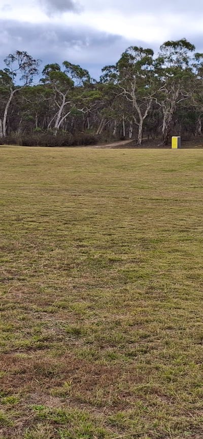 Camping area with a few fire pits and port a loo toilet