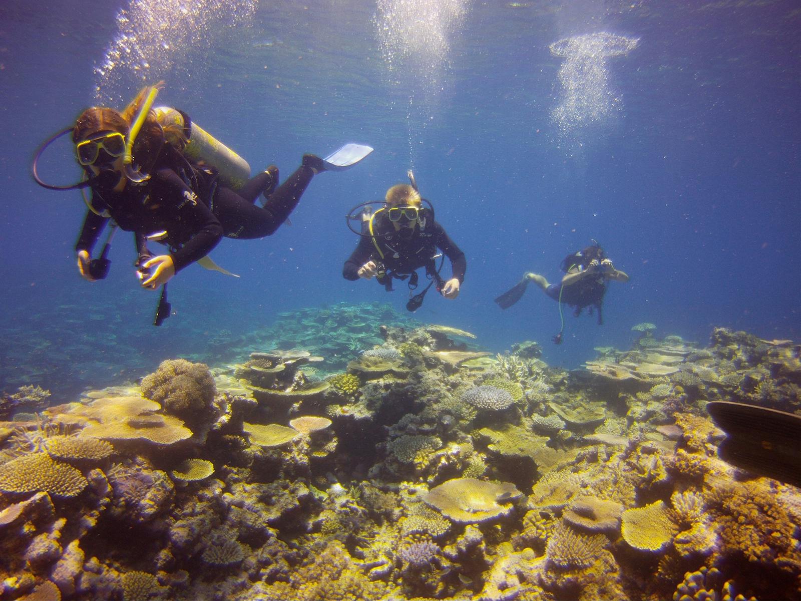 Diving Lodestone Reef