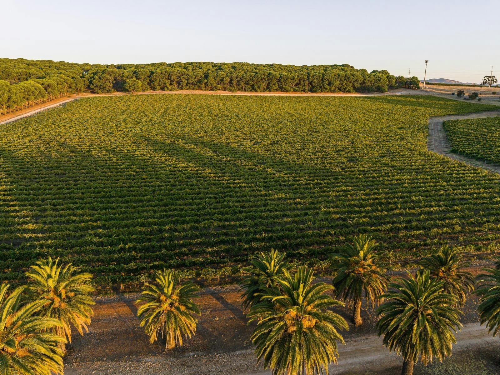 Adelaide and Darwin Classic City Stay 2026