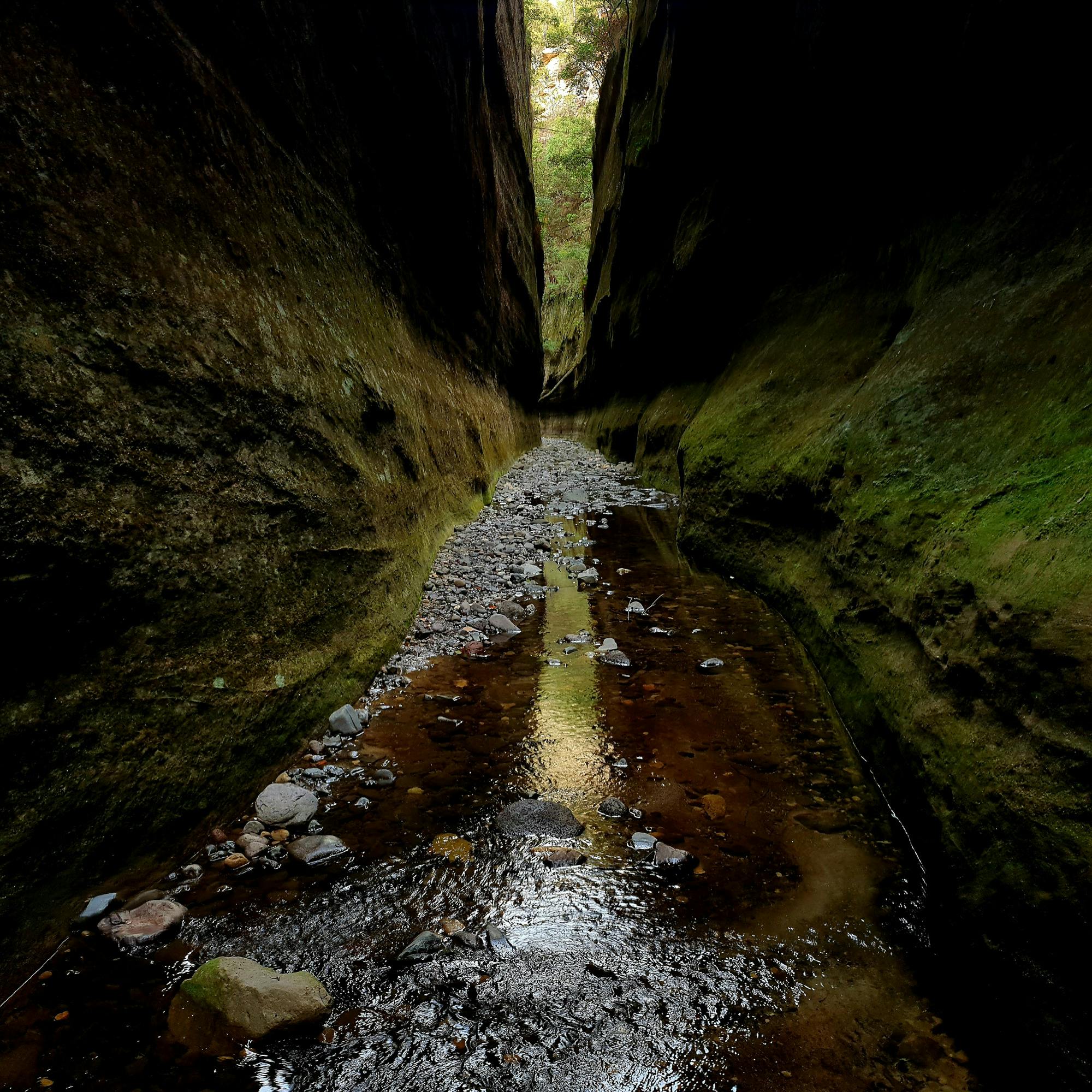 Long, narrow side gorge with mossy walls & spring-fed creek running over cobbles at Carnarvon Gorge.