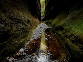 Long, narrow side gorge with mossy walls & spring-fed creek running over cobbles at Carnarvon Gorge.
