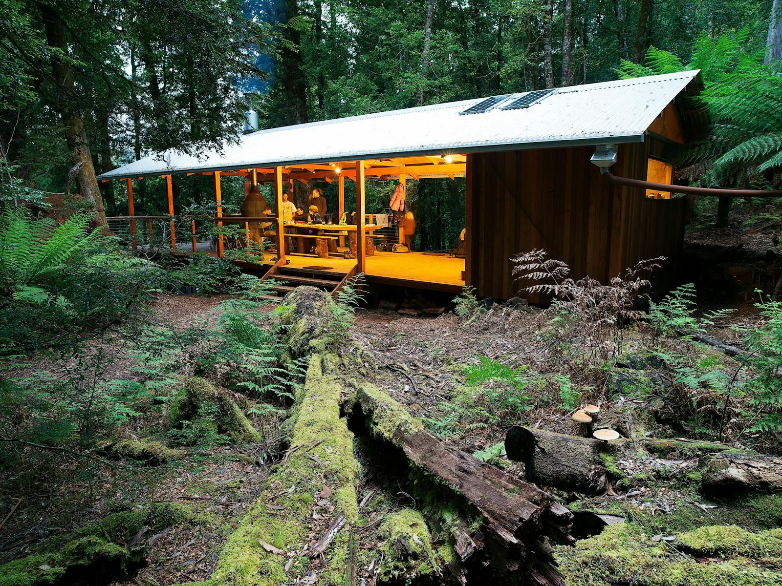 Tiger Ridge base camp in the takayna/Tarkine rainforest