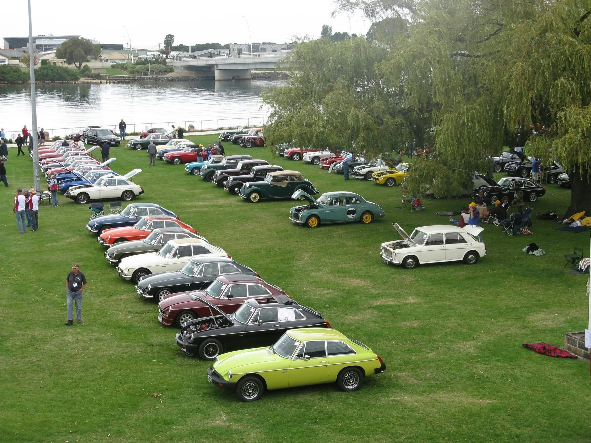 Rows of MG cars on a green grassy park