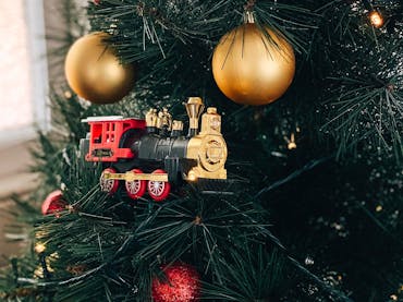 Mary Valley Rattler - Rattler Christmas Community Fair