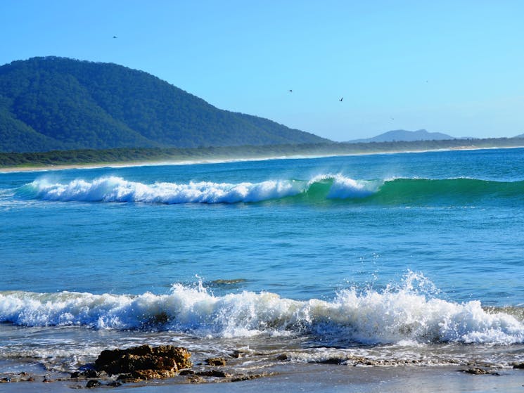 Diamond Head Beach, Barrington Coast