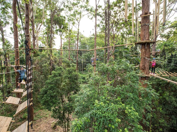 Treetop Challenge - Sunshine Coast