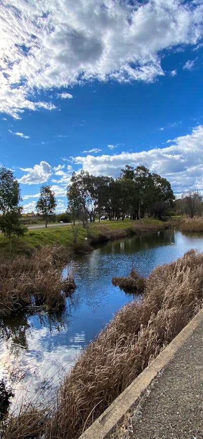 Mulwaree River Walkway - Goulburn Golf Course